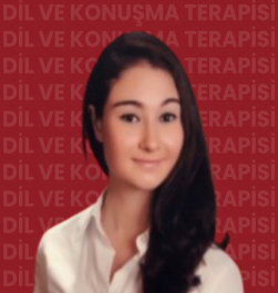 Lecturer Nilay YÖNET ( ** )
