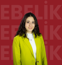 Research Assistant Elif AKKAYA