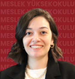 Lecturer  Bilge YILDIZ DEMİRTÜRK