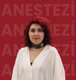 Lecturer Elif PAKLACI