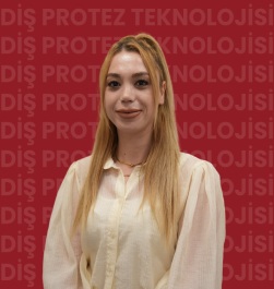 Öğr. Gör. Emine ÇIKILI