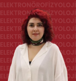 Öğr. Gör. Elif PAKLACI  YORMAZ (*)