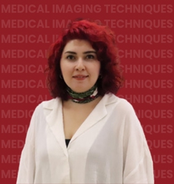 Lecturer Elif PAKLACI YORMAZ *