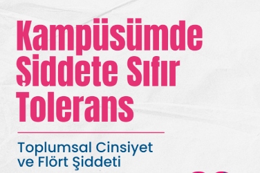 Toplumsal Cinsiyet ve Flört Şiddeti