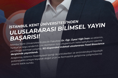 Uluslar Arası Bilimsel Yayın Başarısı